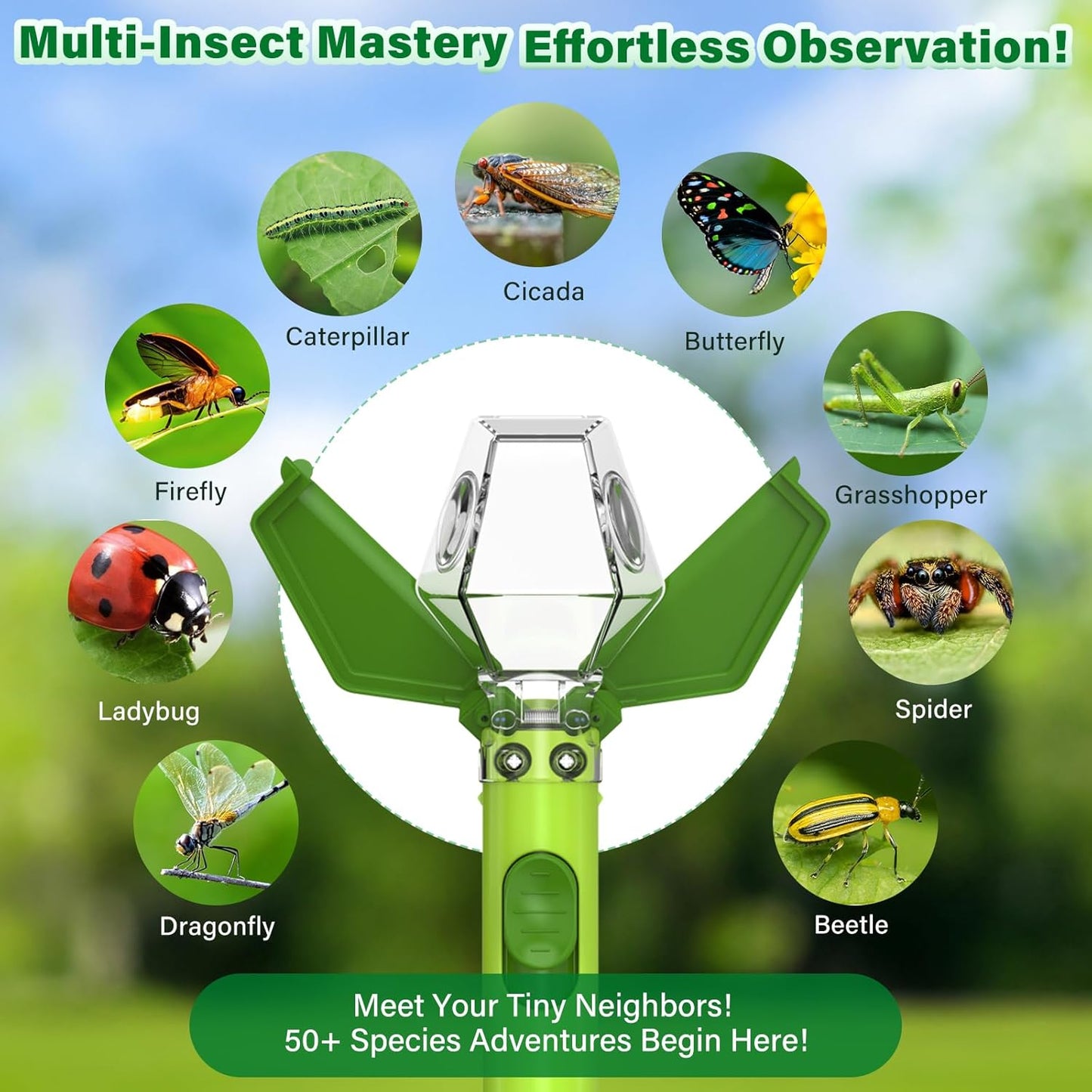 🐞Bug Catcher Kit with 6X Magnifier – Fun Insect Explorer Toy for Kids & Adults🐛
